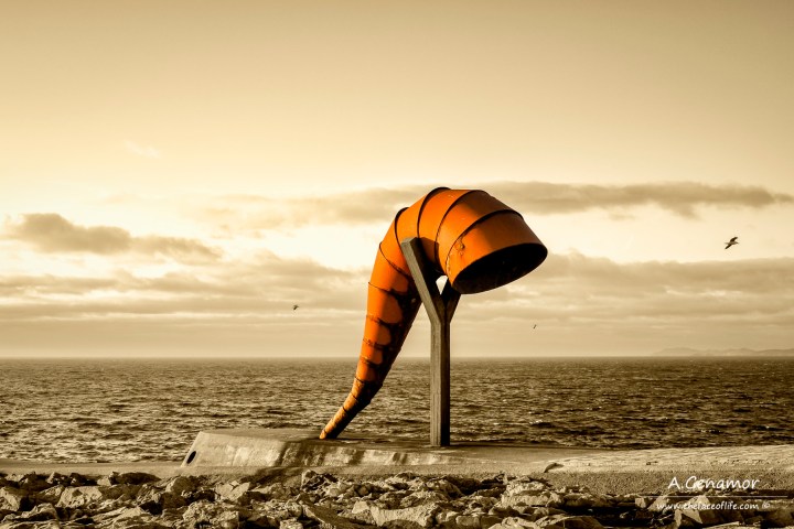 Cuerno de la abundancia